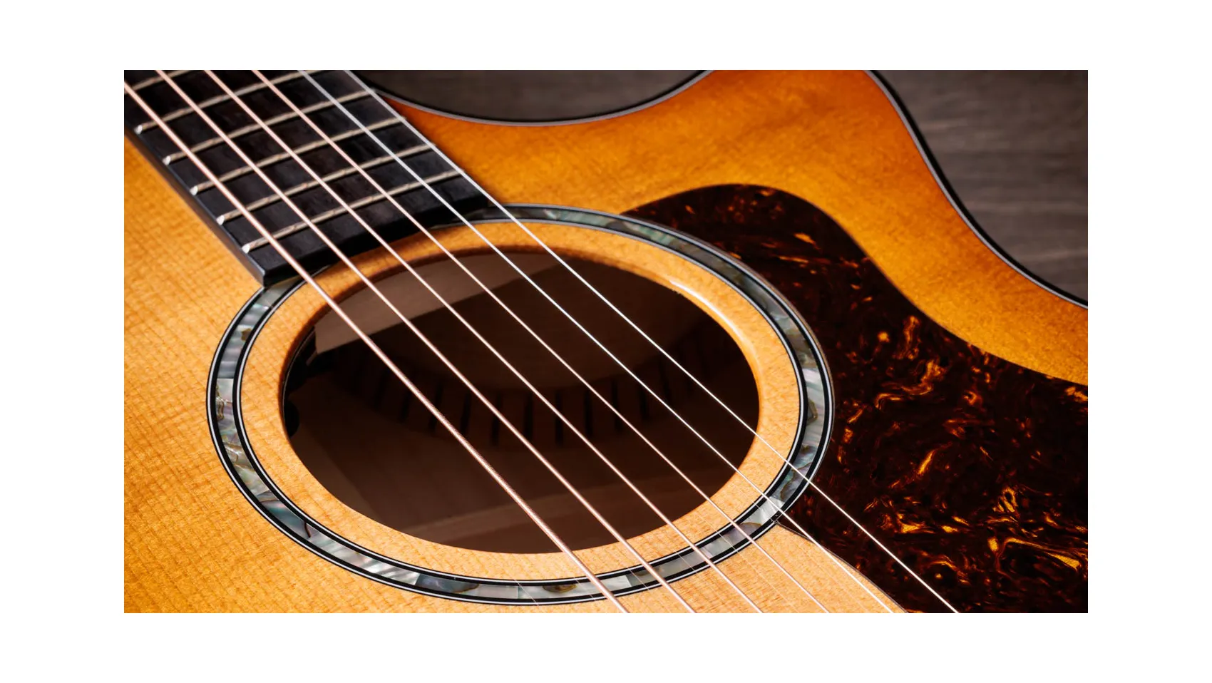 Taylor-Guitar-Next Generation